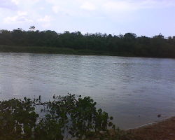 Rio Acaray