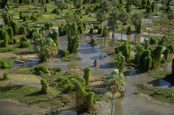 Nationalpark Río Pilcomayo