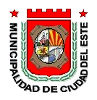 Bandera de Ciudad del Este