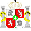 Escudo villarrica