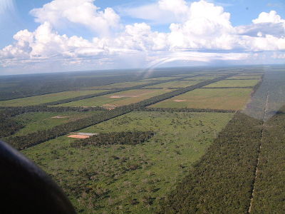 Chaco Entwaldung