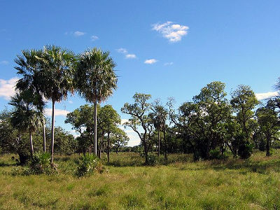 Chaco Landschaft