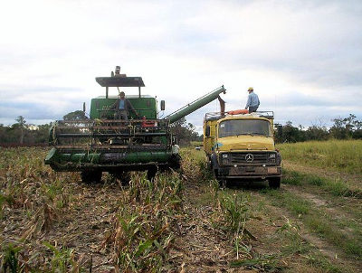 Landwirtschaft im Gran Chaco